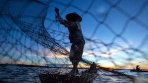 Read more about the article Pro Kontra Menangkap Ikan dengan Jaring